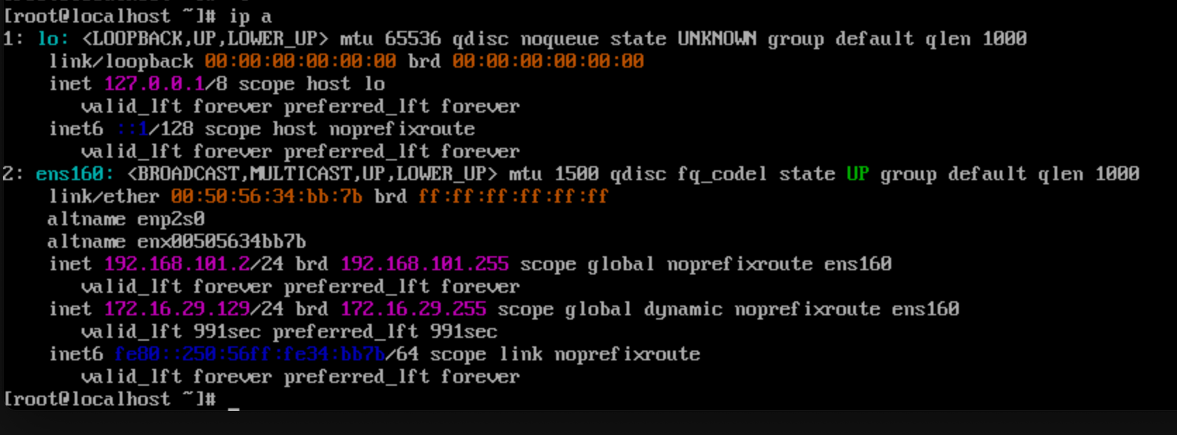 image-20260527025103563
